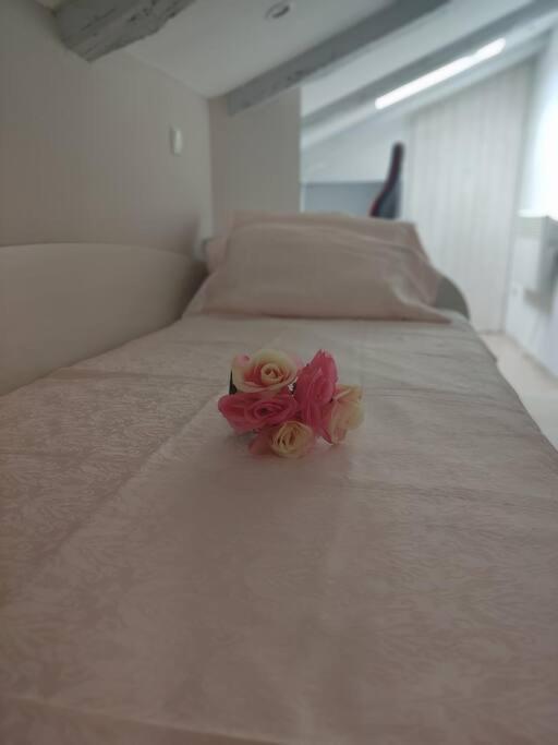 Bird View Apartment Carlissima Trogir Dış mekan fotoğraf