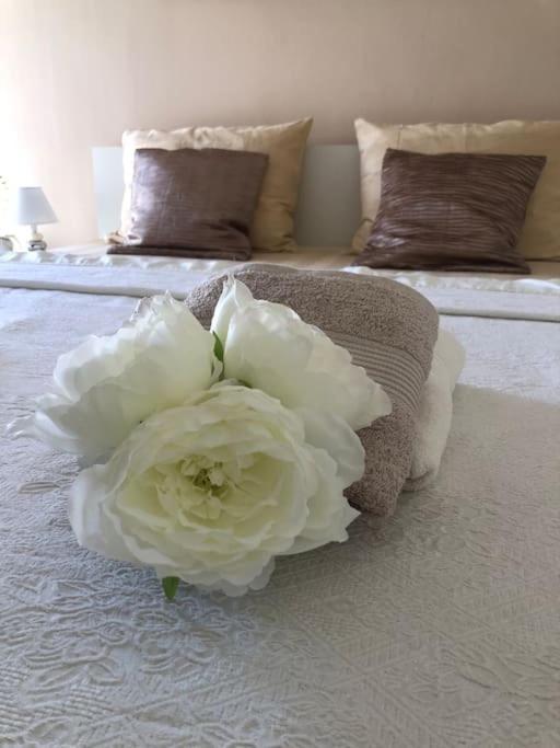 Bird View Apartment Carlissima Trogir Dış mekan fotoğraf